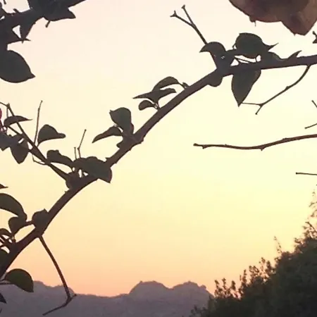 Villa Baja Sardinia Baja Sardinia